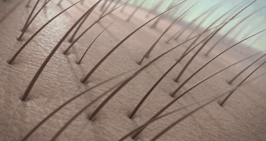 1632635859998415.gif 08.gif