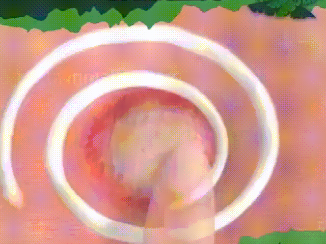 1633662966518513.gif G3.gif