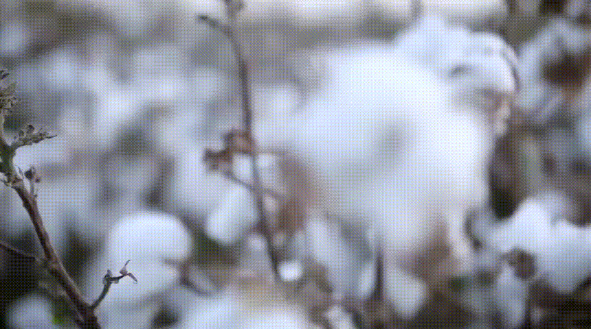 1639544116948440.gif