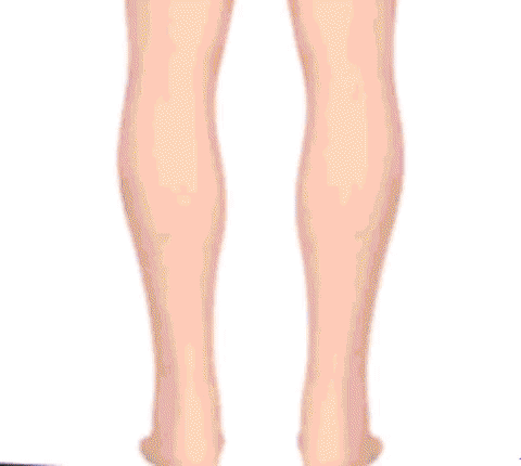 1640072747492241.gif