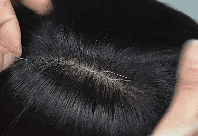 7.gif