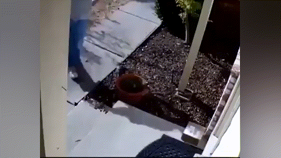 1642216980335128.gif