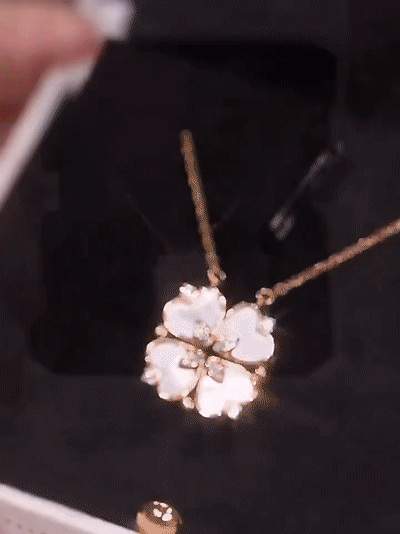 1645602533392429.gif