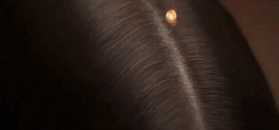 1645690052967709.gif