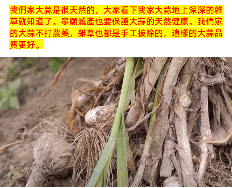 百未草黑蒜油凝膠糖果 百未草黑蒜油凝膠糖果