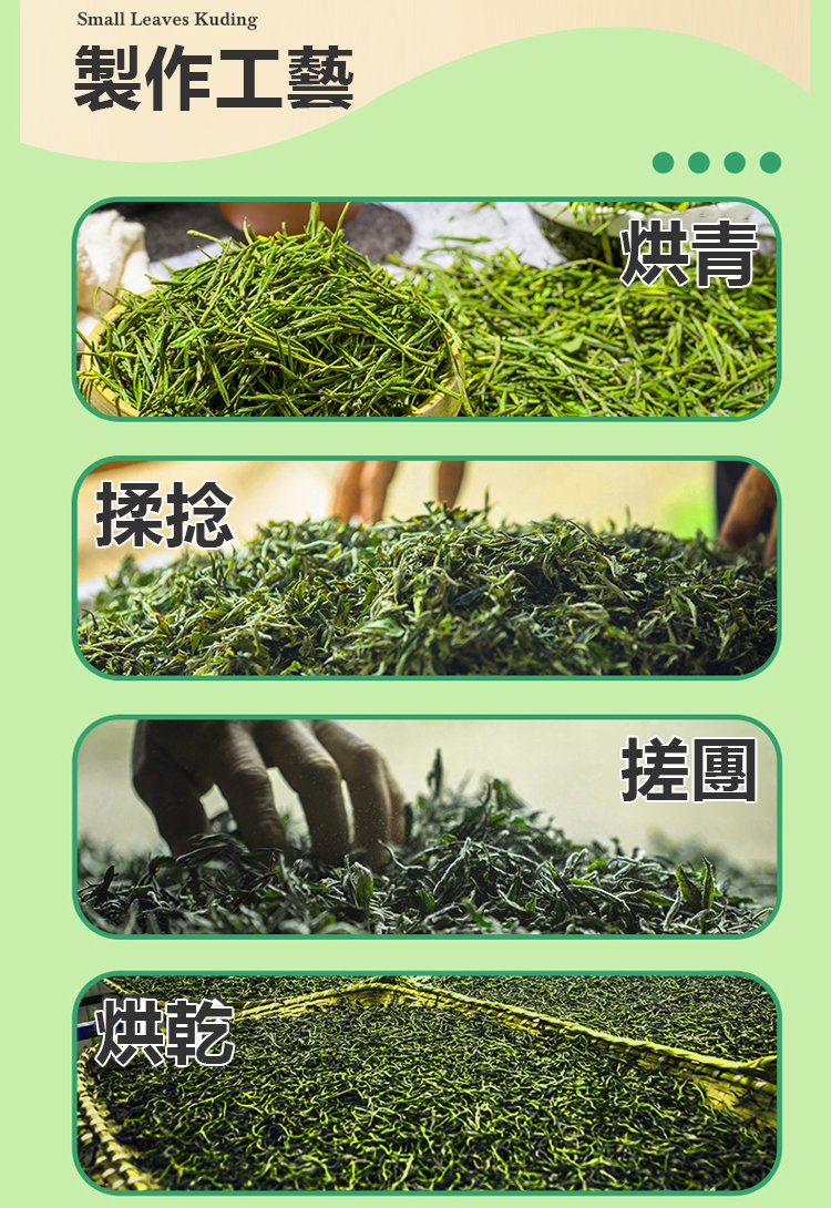 小葉苦丁茶 29 0a56a132b000d5ee5c04c9c49b46bcf5 小葉苦丁茶