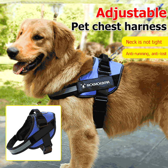 Pet Chest Harness