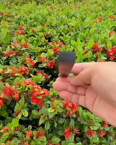 1084294_05.gif