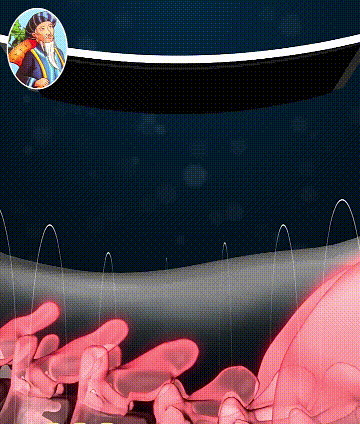 蒙澳神遠紅外腰椎貼