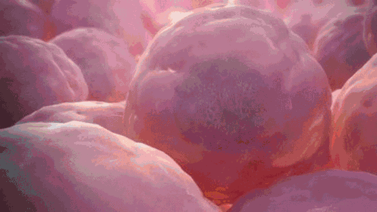 化唐消穴位磁療貼 31 1dd11a45e76d8696a25397161dafe804 化唐消穴位磁療貼