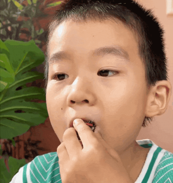 五珍芝麻丸 五珍芝麻丸