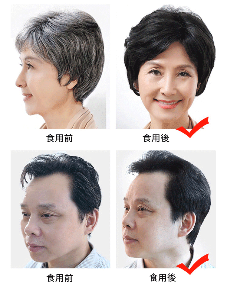 五珍芝麻丸 五珍芝麻丸