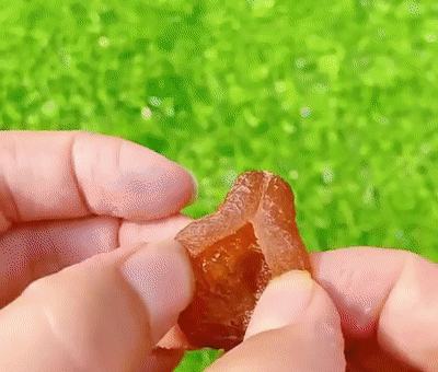 竹蜂鹽枇杷果乾 13 2d625653c07e148e4b2fe55a0e5cd2d7 竹蜂鹽枇杷果乾