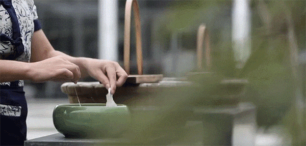 1 (20).gif