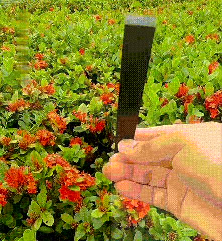 1084294_16.gif