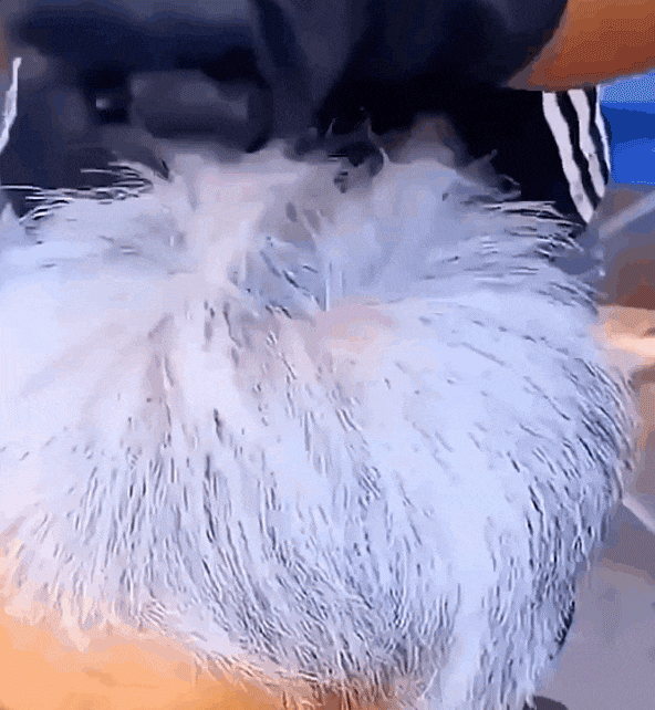 七味堂芳香染髮膏 6 3d9c6e5ef0f6a8848e93af4e1f0d2856 七味堂芳香染髮膏