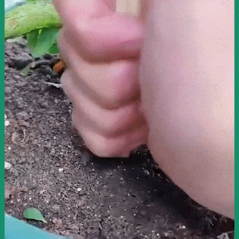 1 (5).gif