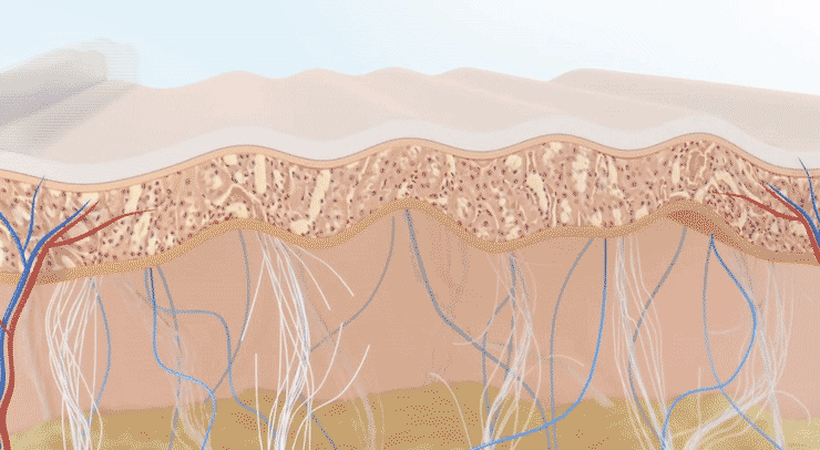 五重維c素顏霜 12 49ae562323f71e7a9347a475edff79ec 五重維c素顏霜