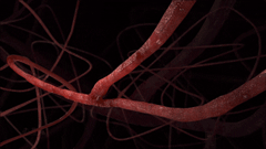 化唐消穴位磁療貼 27 506075c77fe50615b23f39a81d33246c 化唐消穴位磁療貼