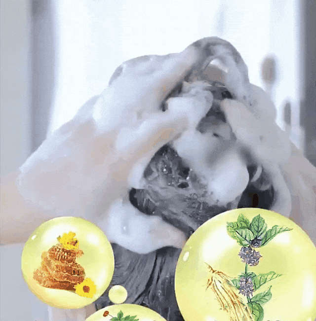 七味堂芳香染髮膏 22 5d0ea9635cfa64e79467576e4da05069 七味堂芳香染髮膏