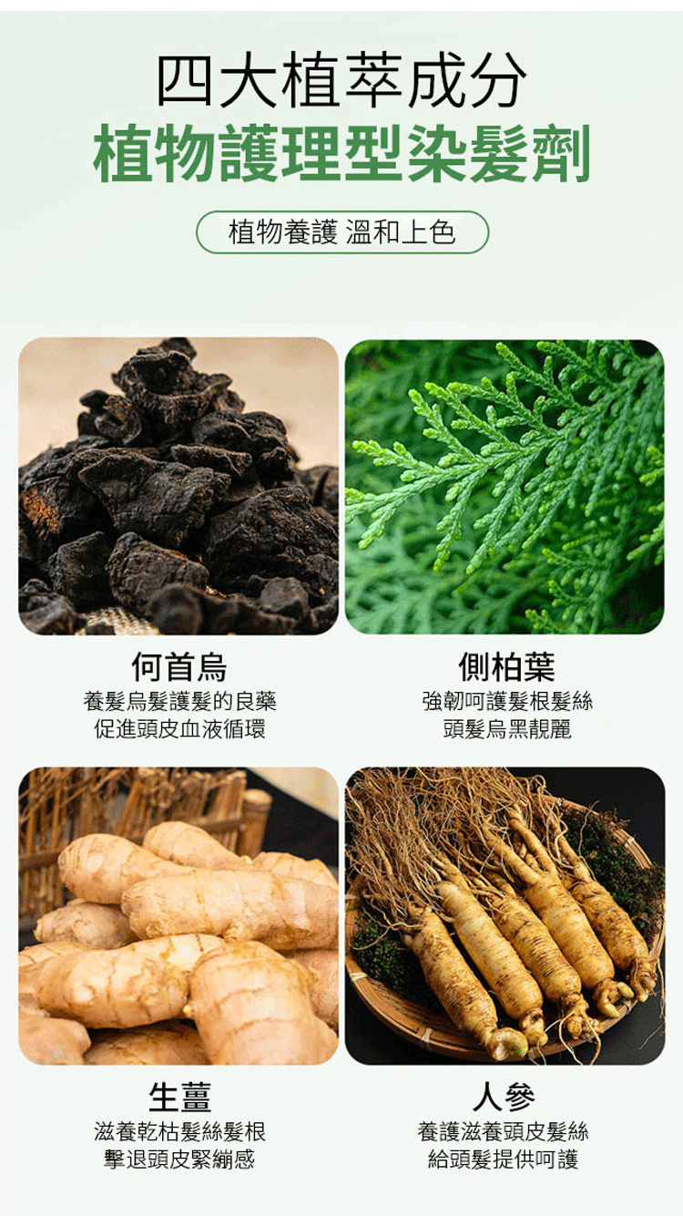 七味堂芳香染髮膏 21 5d29c61494f7a370409f8003baa339e9 七味堂芳香染髮膏