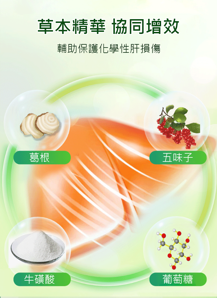 葛根五味子牛磺酸片