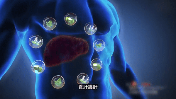 葛根五味子牛磺酸片 葛根五味子牛磺酸片