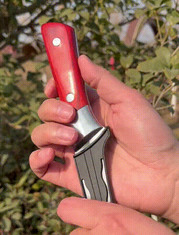 1_10.gif