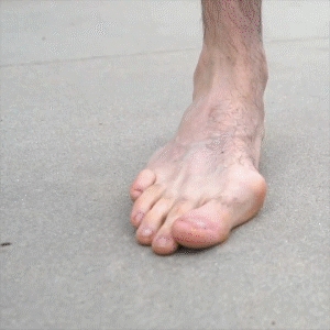 德國馬膏 26 74c6d10aea7bc27e19ae8fa21861d0b6 德國馬膏