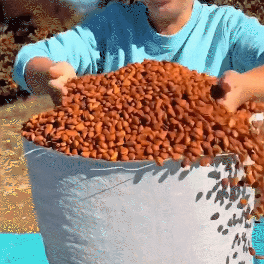 6.gif