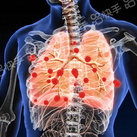 橘紅羅漢果清潤茶 11 0c5d58b8721e18a2df4e9f9fe586895d63251511135721005292732EN2e3cba880bafeed339f96255f7530b407.gif