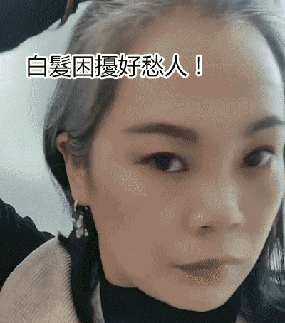 南京同仁堂靈芝人參何首烏白轉黑洗髮皂何首烏洗髮皂洗頭側柏葉洗髮皂手工皂角中藥純天然頭髮白轉黑皂100克每盒 南京同仁堂靈芝人參何首烏白轉黑洗髮皂
