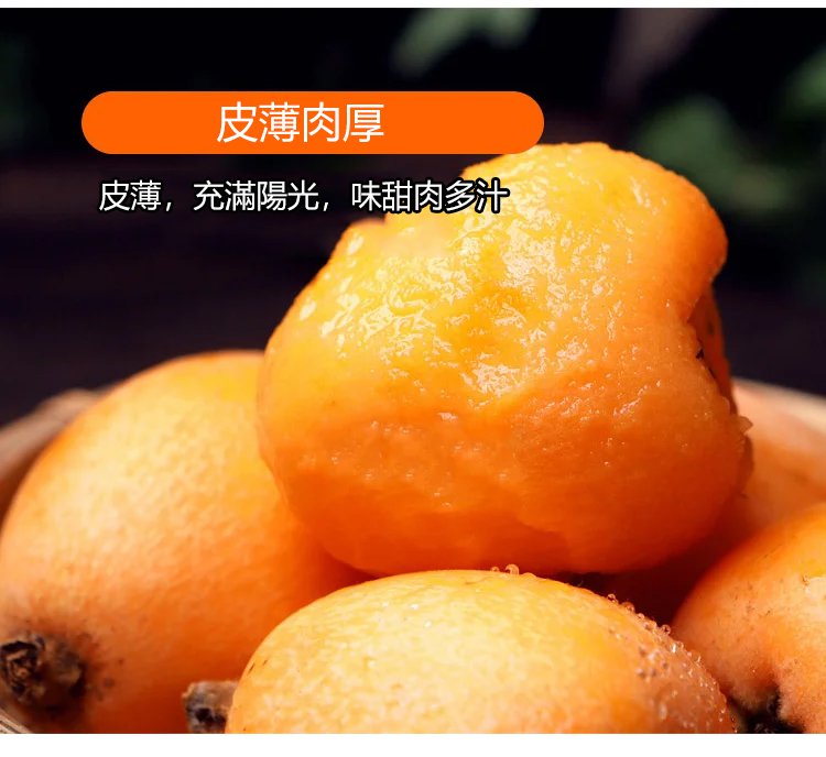 竹蜂鹽枇杷果乾 30 847fa66d585980e6d4a56cffd22d833b 竹蜂鹽枇杷果乾