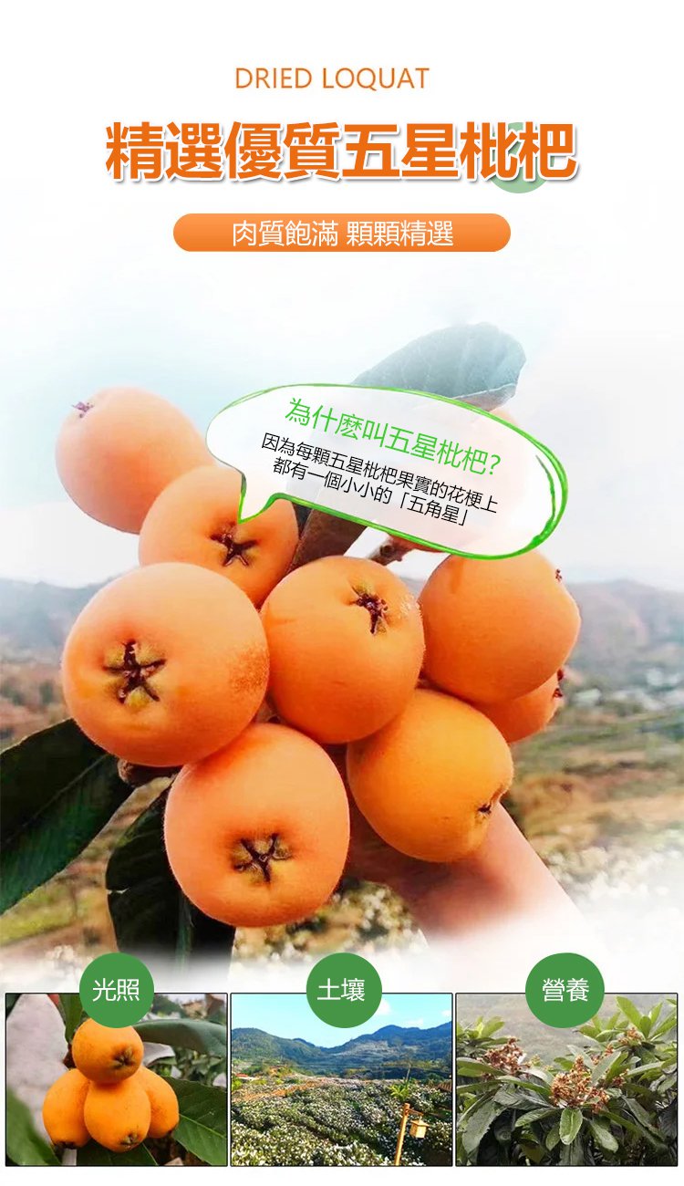 竹蜂鹽枇杷果乾 24 85a40d5f6b4ce63a8e0af15001462617 竹蜂鹽枇杷果乾