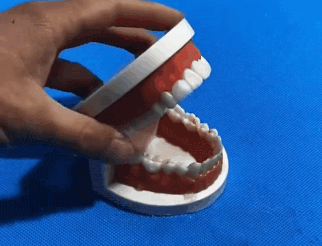 可塑性牙膠 16 88651e6f1f29bf5c6c08abc16192c10f 可塑性牙膠