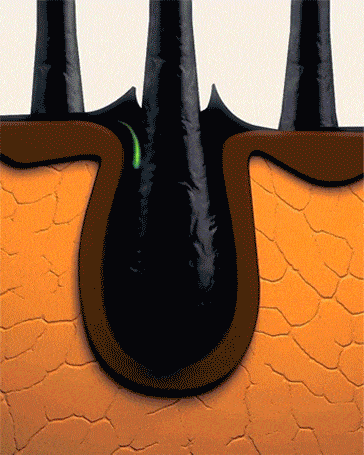 5260878355547c9caa39b7e81e2ea9c43223311293461005513471EN2e4da3b7fbbce2345d7772b0674a318d5 (1).gif