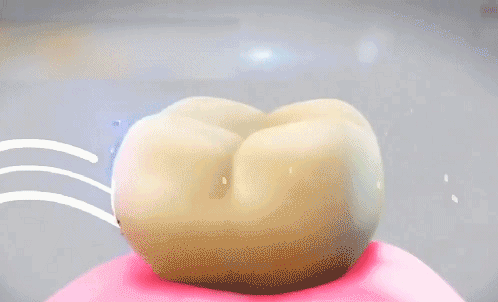 BisuTang益生菌牙膏 22 90af36e3f2da376053236c07aa9b992e BisuTang益生菌牙膏