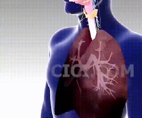 f921d2d2f10c359a3ef7cd9f408106fb.gif