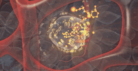 小葉苦丁茶 18 983ec64dfee0fcb60ce67417edb7c012 小葉苦丁茶