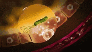 牙齒晃動牙膏 7 988bb79f4a645af5d4301671aefc7294 牙齒晃動牙膏