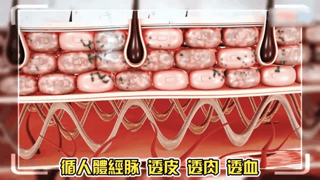 頑毒淨乳膏頑達康日本配方 6 9ca2671543e0eff02da8a725a111d624 頑毒淨乳膏頑達康日本配方