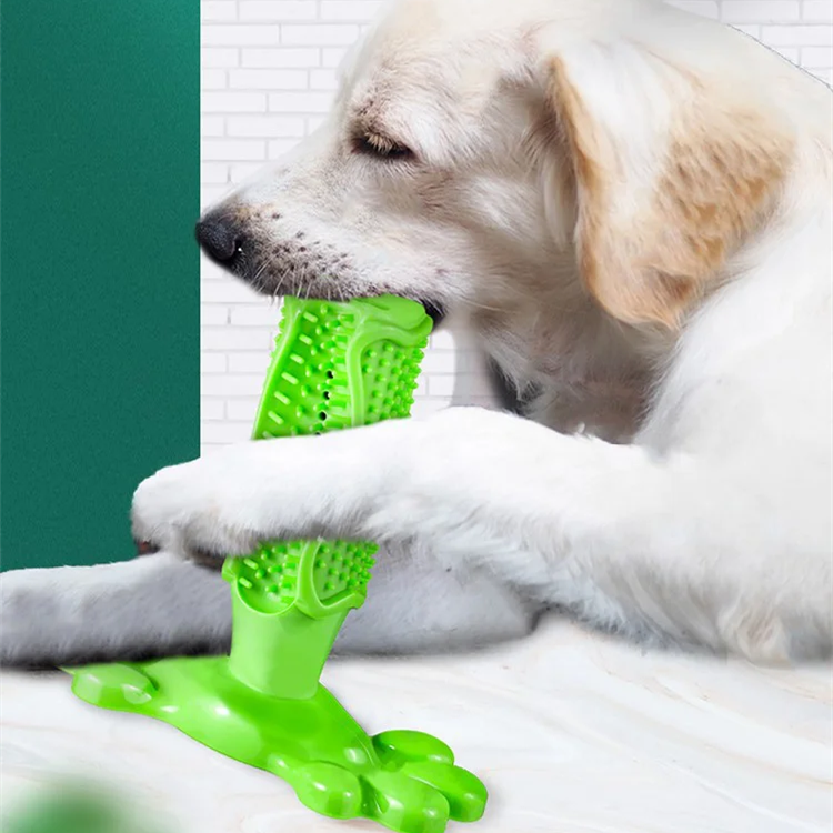 New Dog Toothbrush