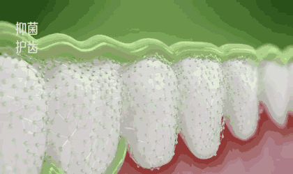 可立克蜂毒牙膏