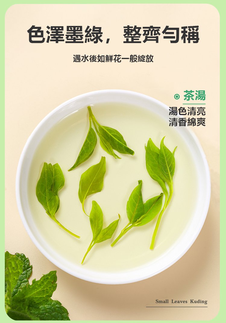 小葉苦丁茶 27 9f5ed3c831610a1e01cfeda7e0a920d5 小葉苦丁茶