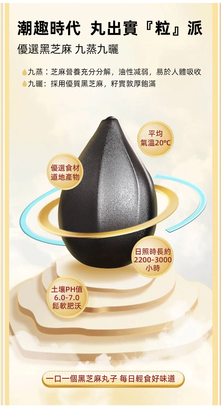 五珍芝麻丸 五珍芝麻丸