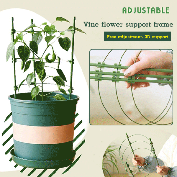 Household Plant Support Fixing Frame
