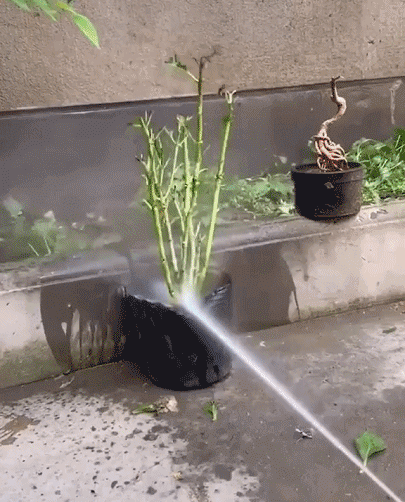 リチウム洗車水鉄砲