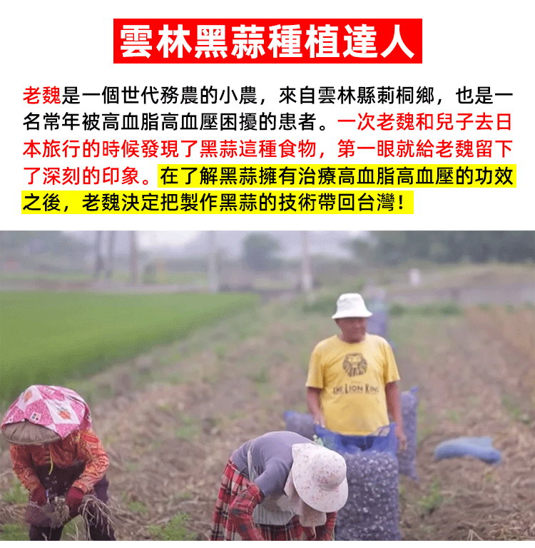 百未草黑蒜油凝膠糖果 百未草黑蒜油凝膠糖果