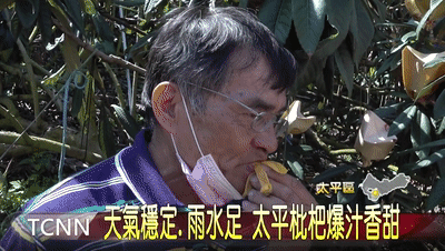 竹蜂鹽枇杷果乾 8 a817e2e92f226019f18dcadd367bb54b 竹蜂鹽枇杷果乾