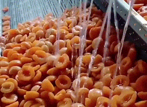 竹蜂鹽枇杷果乾 37 aaa850d404ee8e789c0d2725211da4f5 竹蜂鹽枇杷果乾